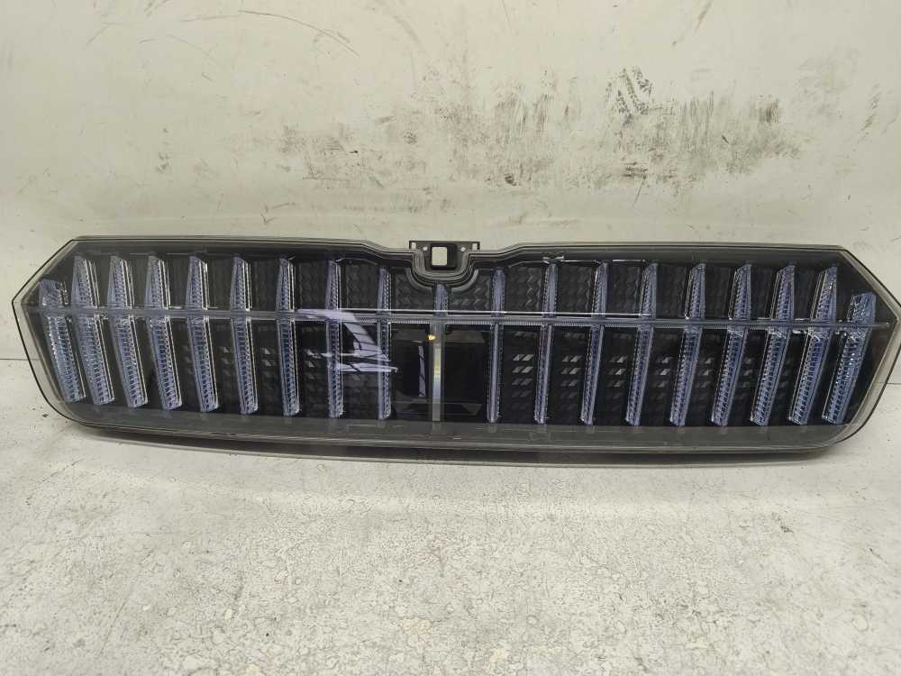 CALANDRE SKODA - Vue 1